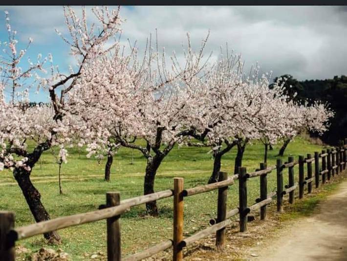 Location de vacances pour 10 personnes, avec terrasse ainsi que vue et piscine à Vila Flor - 4