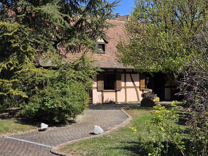Gîte pour 11 personnes, avec jardin et balcon dans Grand Est - 4