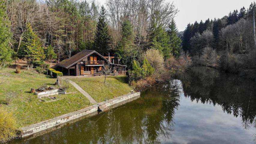 Apartament wakacyjny dla 9 osób, z widok na jezioro i ogród oraz widok, zwierzęta dozwolone w Mozela (Francję)