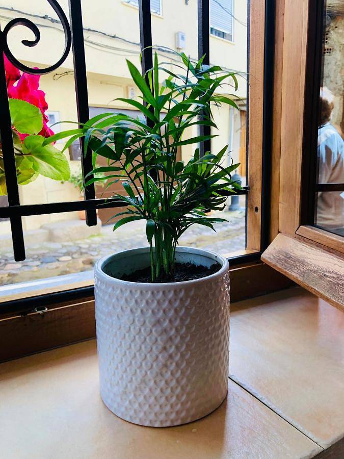 Apartamento de vacaciones para 2 personas, con vistas en Extremadura - 2