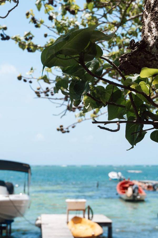 Location de vacances pour 5 personnes, avec jardin ainsi que vue et piscine, animaux acceptés à Le François - 4