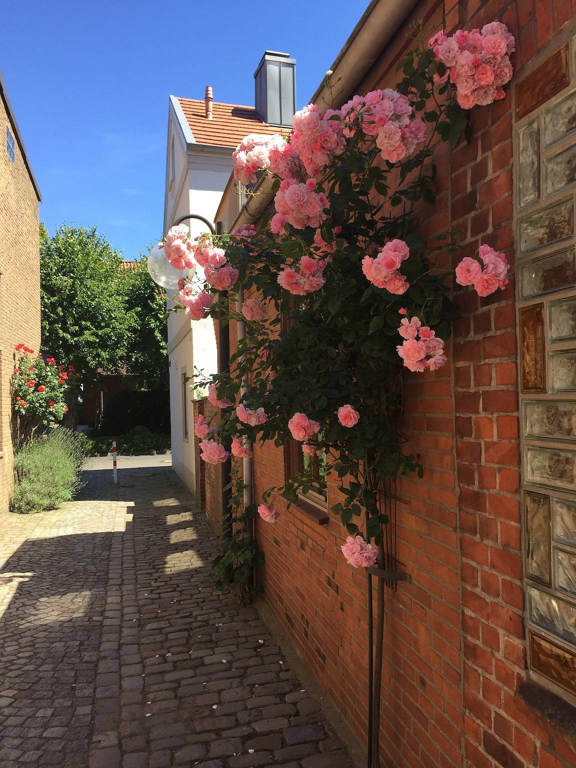 Ferienhaus in Eckernförde ab 149€ pro Nacht