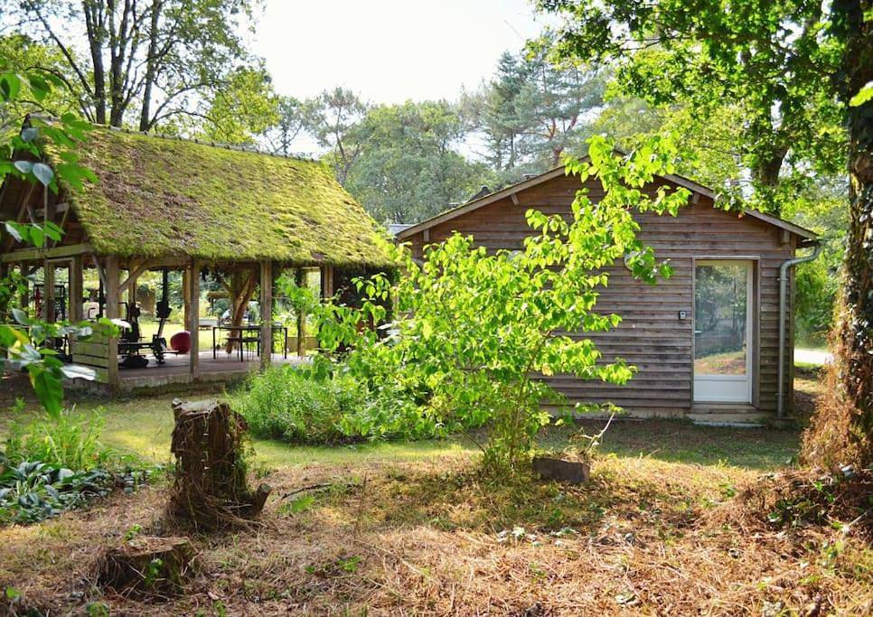 Chalet cosy au cœur de la forêt de Brocéliande in Beignon, Région de Vannes