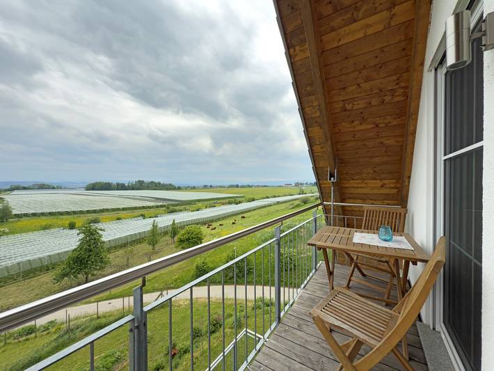 Ferienwohnung für 4 Personen, mit Balkon und Garten am Bodensee - 2