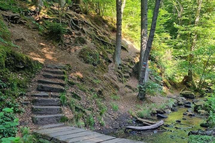 Ferienwohnung für 4 Personen, mit Balkon, mit Haustier in Deidesheim - 4