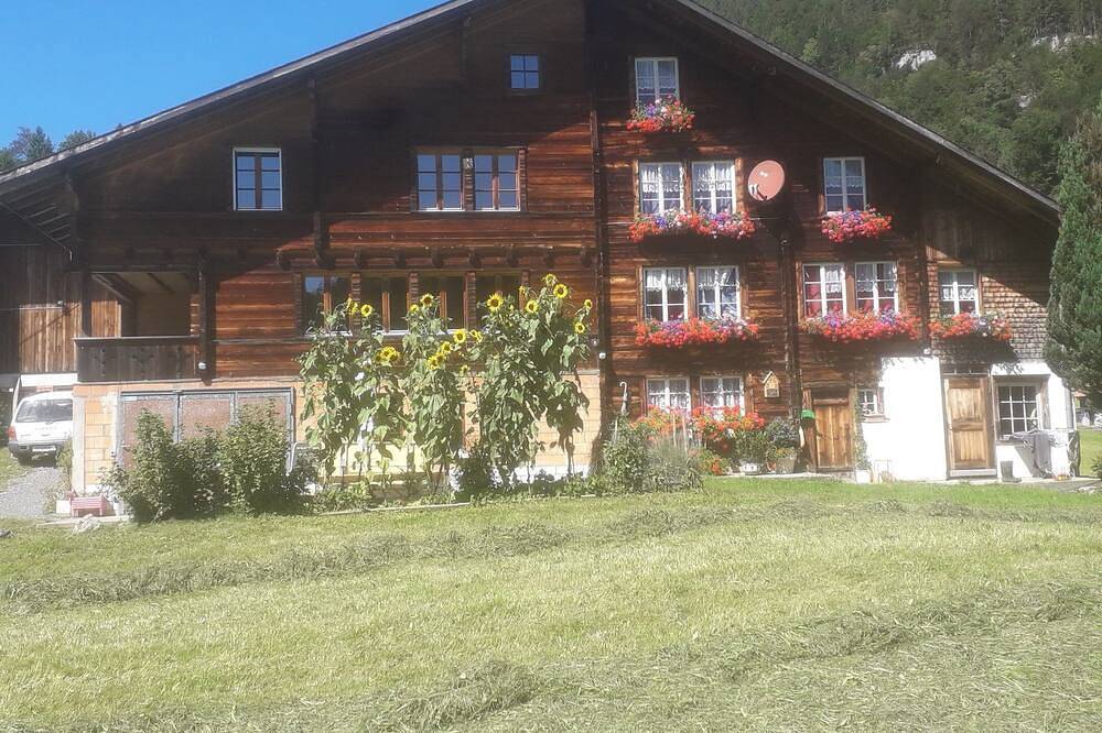Geheel appartement, Gezellig, rustiek appartement op een rustige locatie in Hasliberg, Interlaken-Oberhasli