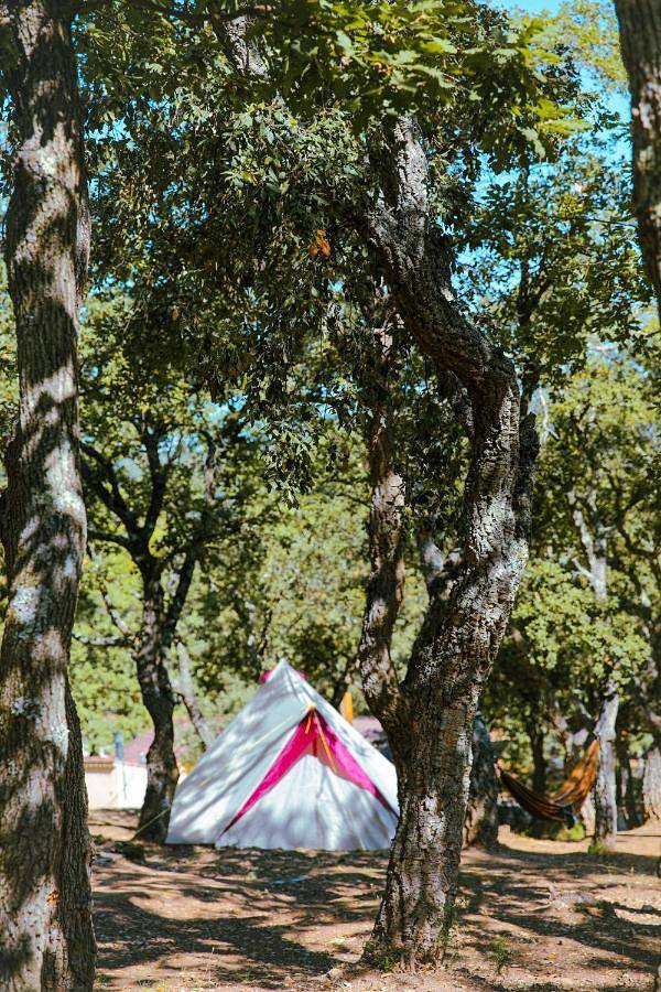 Camping Ladouceur in l'Escalet, Ramatuelle