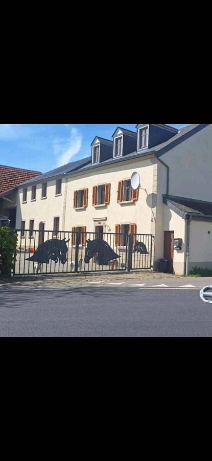 Location de vacances pour 6 personnes, avec vue ainsi que terrasse et sauna à Waldbillig