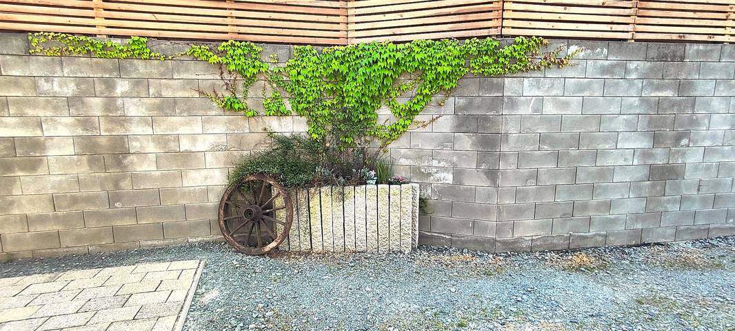 Ferienhaus für 11 Personen, mit Garten, kinderfreundlich am Taunus - 4
