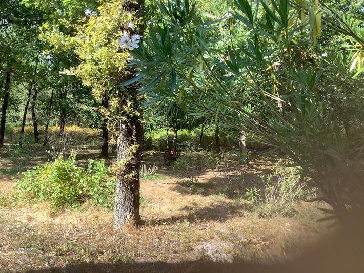 Gîte pour 2 personnes, avec jardin et vue à Grayan-et-l'Hôpital - 3
