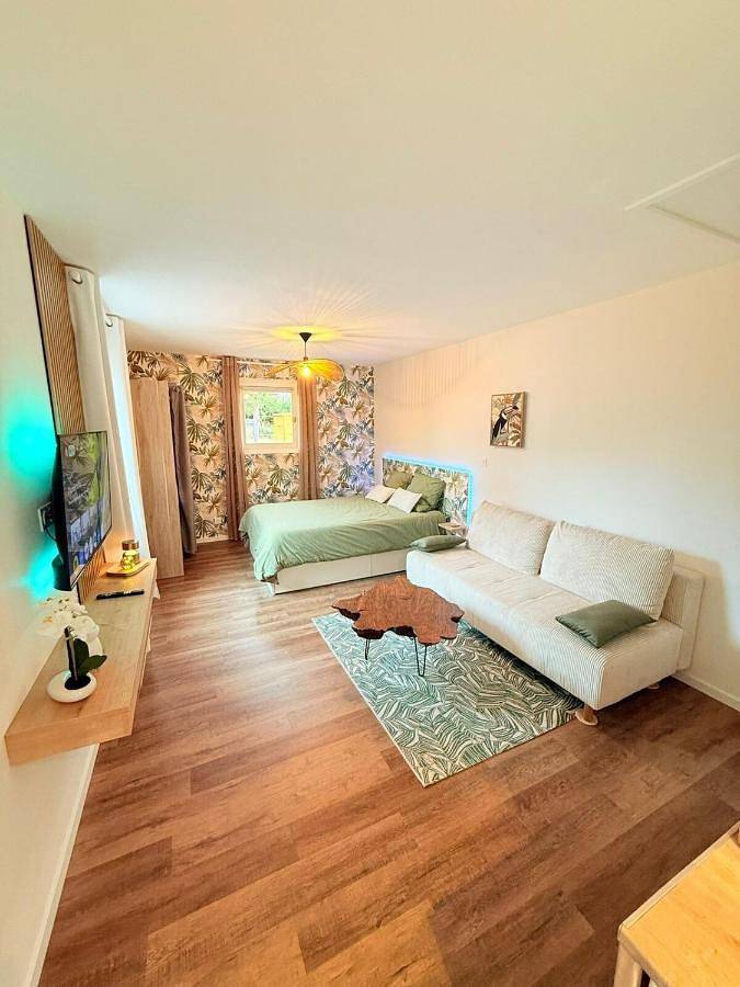 Appartement entier, One-Bedroom Apartment with View in Villerest, Région de Roanne