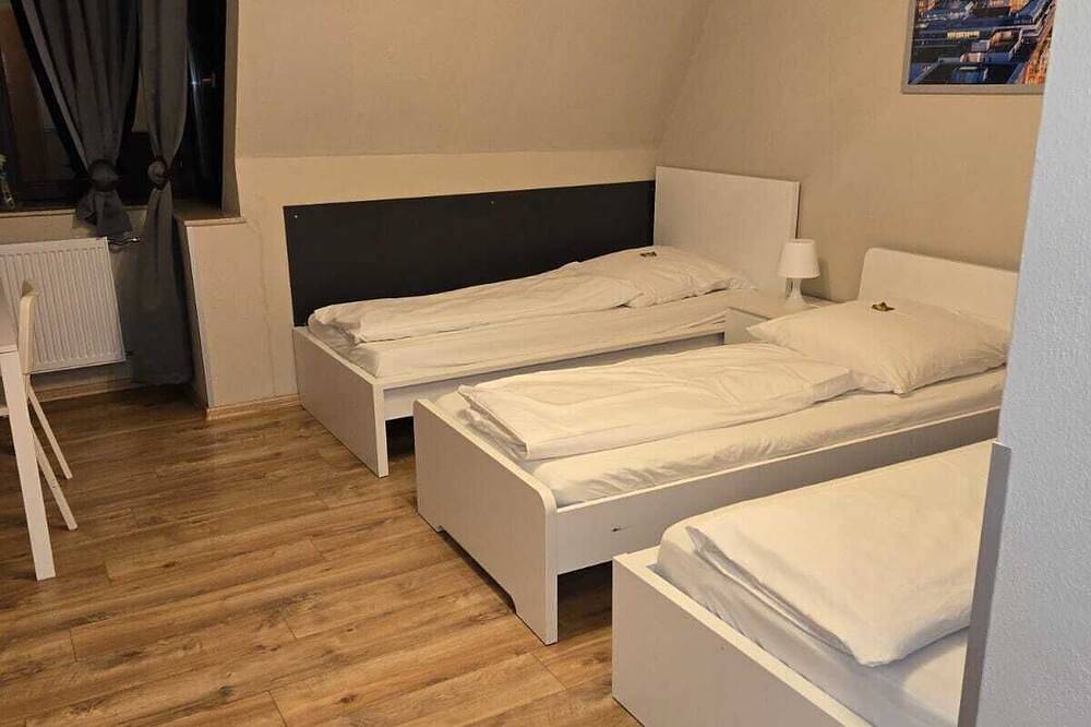 Geheel appartement, Apartment-Family-Private Bathroom in Saarbrücken, Saargau