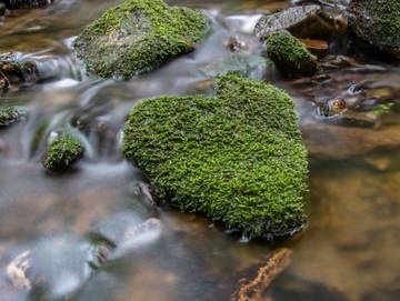 Hütte für 4 Personen in Thermalbad Wiesenbad, Mittlere Erzgebirge, Bild 1