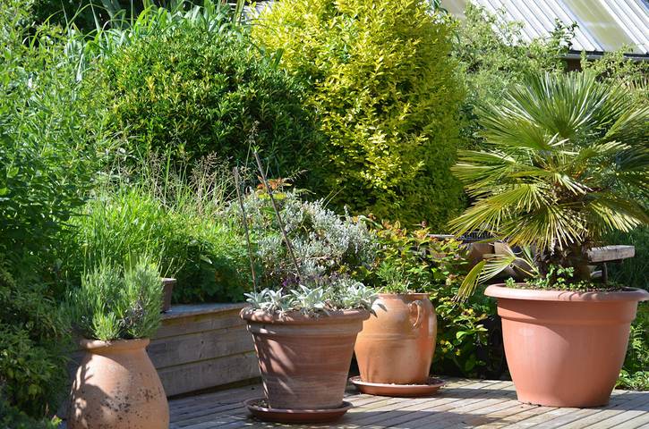 Appartement de vacances pour 3 personnes, avec jardin en Cotes-d'Armor - 2