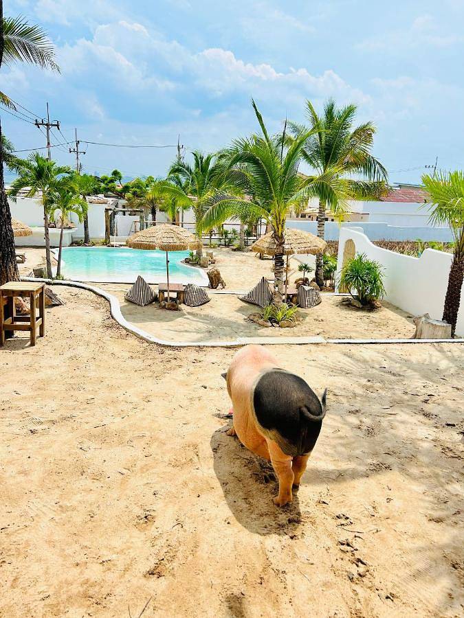 Location de vacances pour 3 personnes, avec jardin ainsi que vue et piscine dans Ko Larn - 2