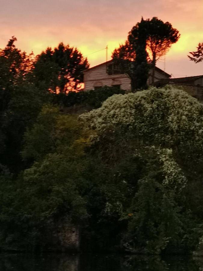 Location de vacances pour 6 personnes, avec vue et jardin à Castelnau-de-Lévis - 2