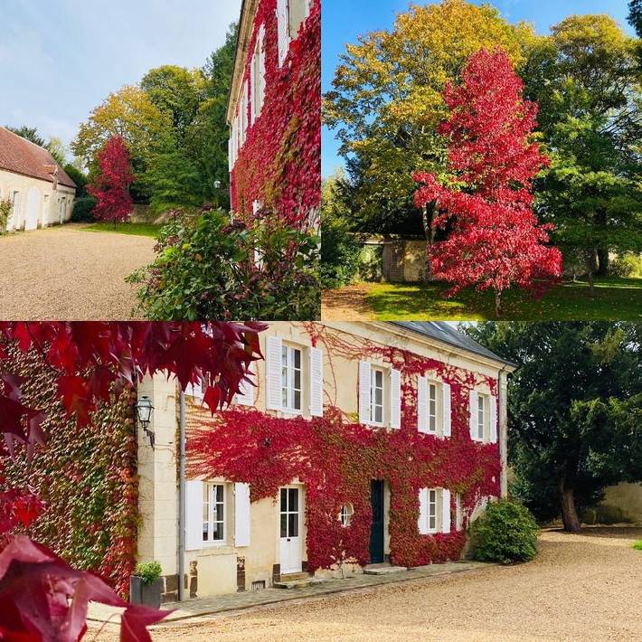 Maison d’hôte pour 3 personnes, avec vue ainsi que piscine et jardin dans Eure-et-Loir - 2