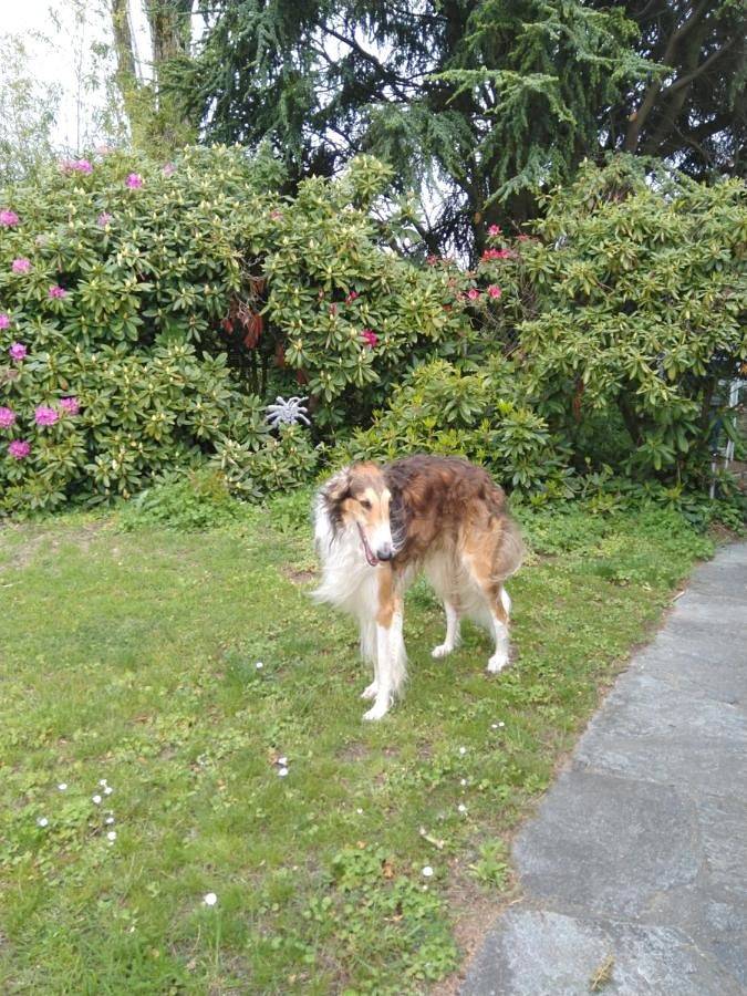 Chambre d’hôte pour 2 personnes, avec jacuzzi ainsi que piscine et jardin dans Canton de Vaud - 3