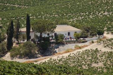 Casa de vacaciones para 22 personas, con jardín y terraza, Se admiten mascotas en Campiña de Jerez