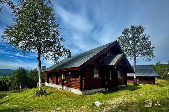 Blockhütte für 10 Personen, mit Sauna und Terrasse - 1