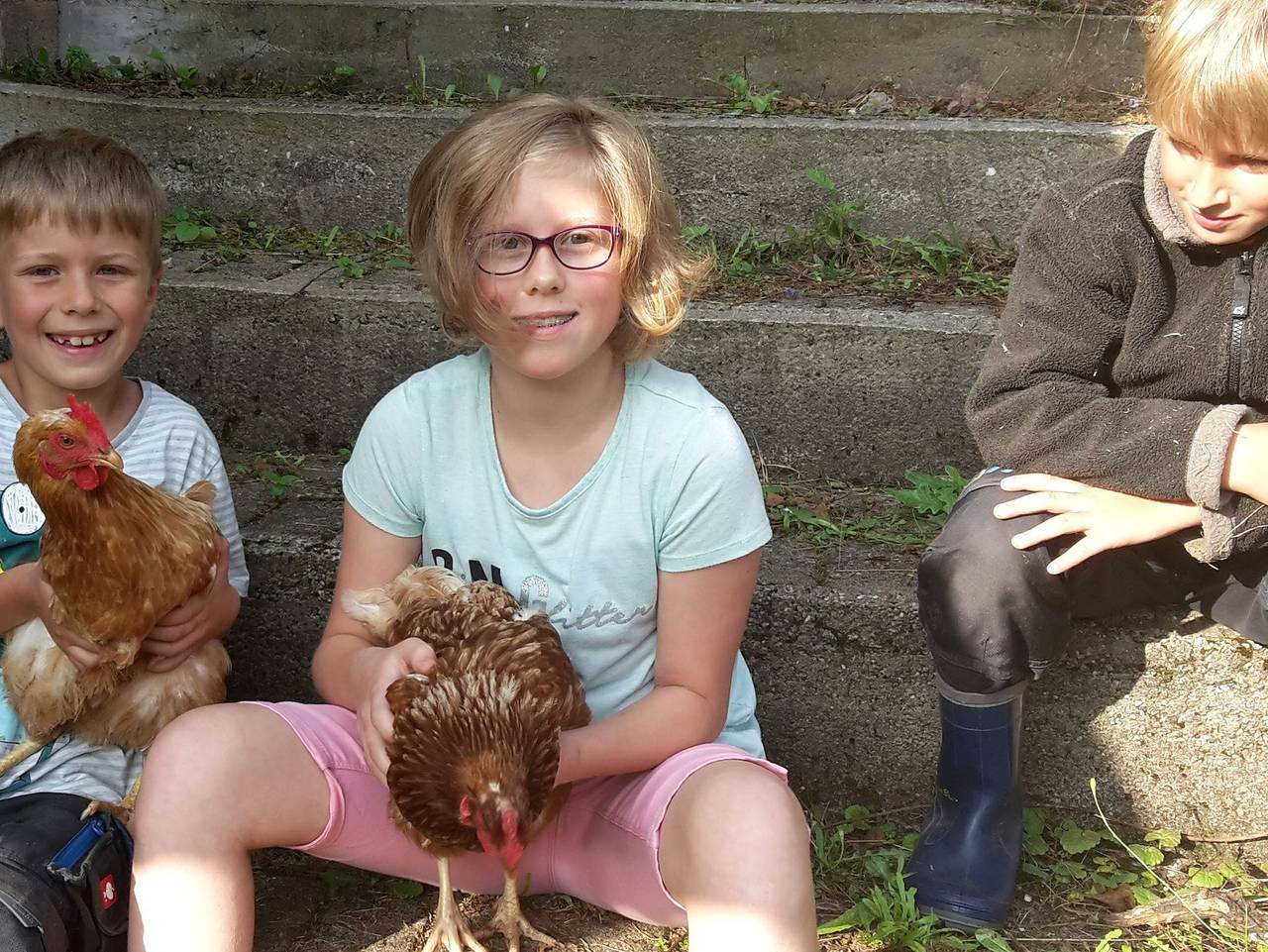 Ganze Ferienwohnung, Wellehof - Ferienwohnung Heidelbeere in Oberkirch, Mittlerer Schwarzwald