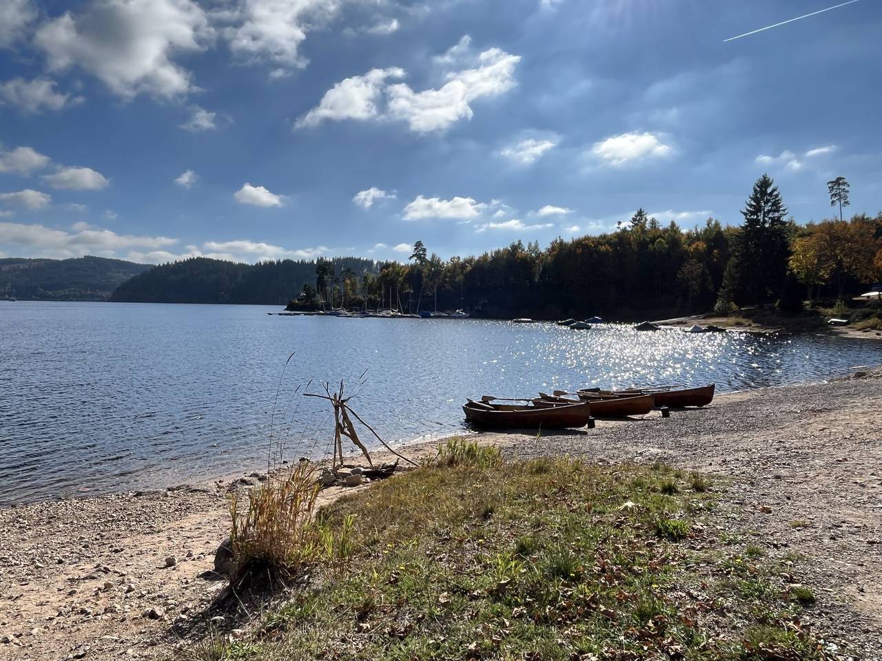 Ganze Wohnung, Sonnige Aussichten in Schluchsee, Südschwarzwald