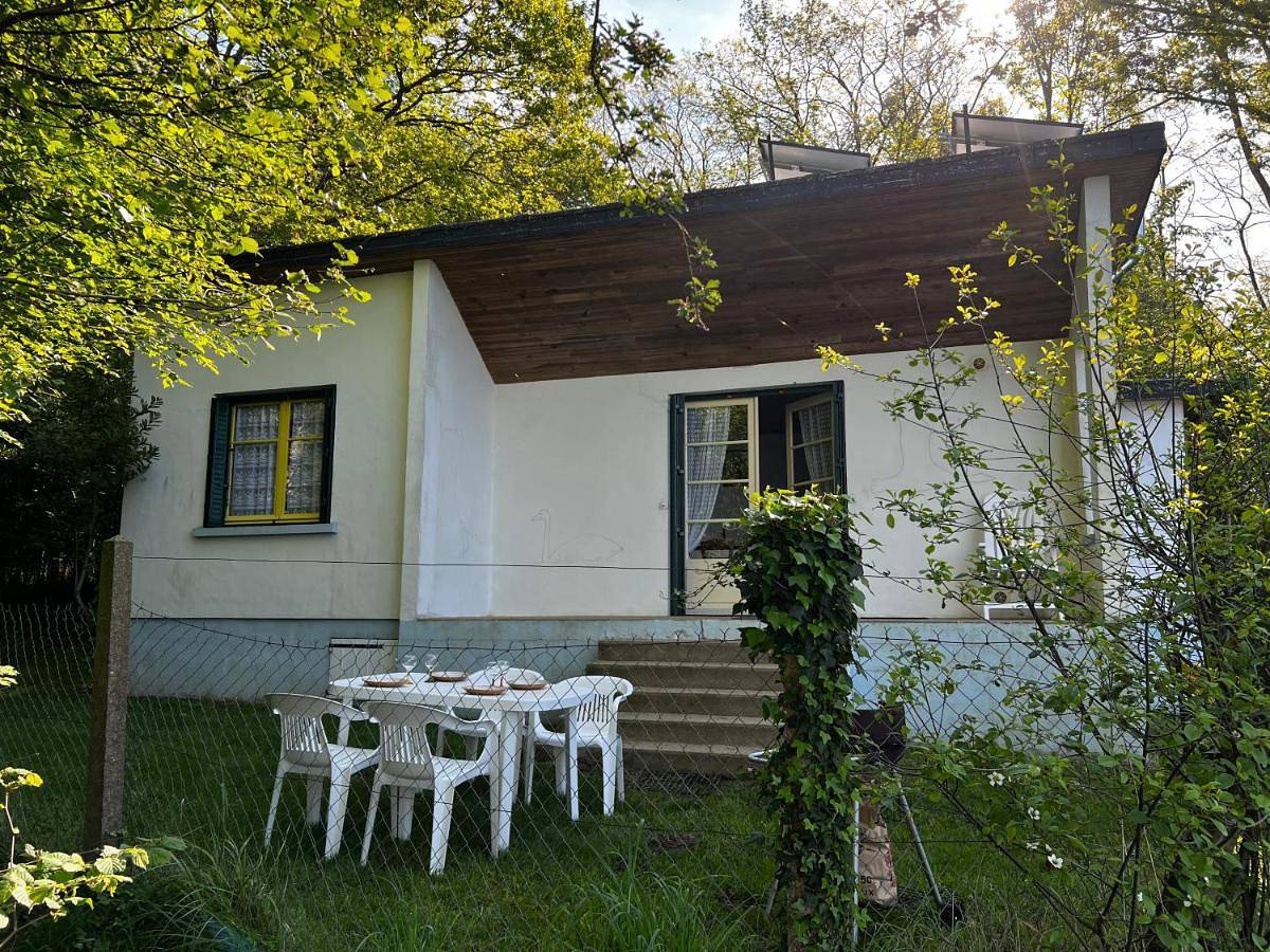Chalet au bord de l'étang 4 pers in Moutiers-en-Puisaye, Région d'Auxerre