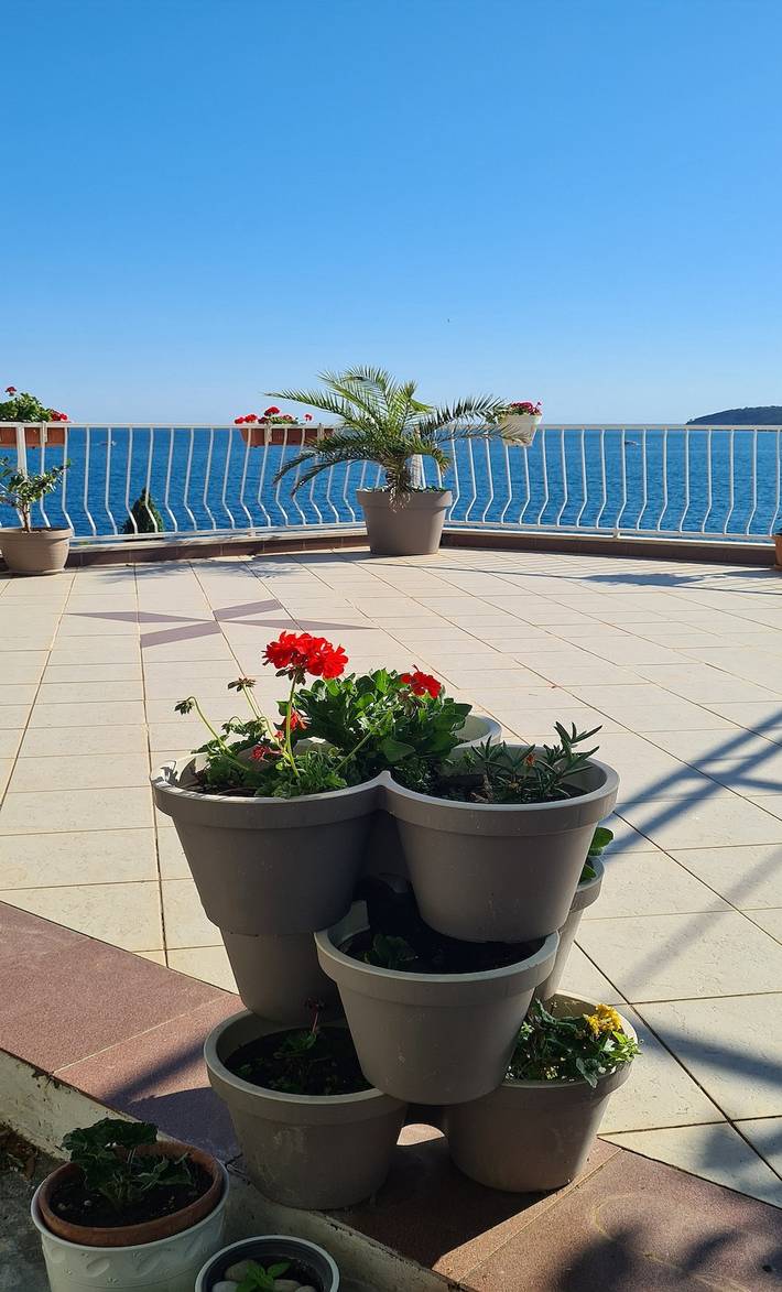 Studio für 2 Personen, mit Meerblick in Grad Dubrovnik - 2