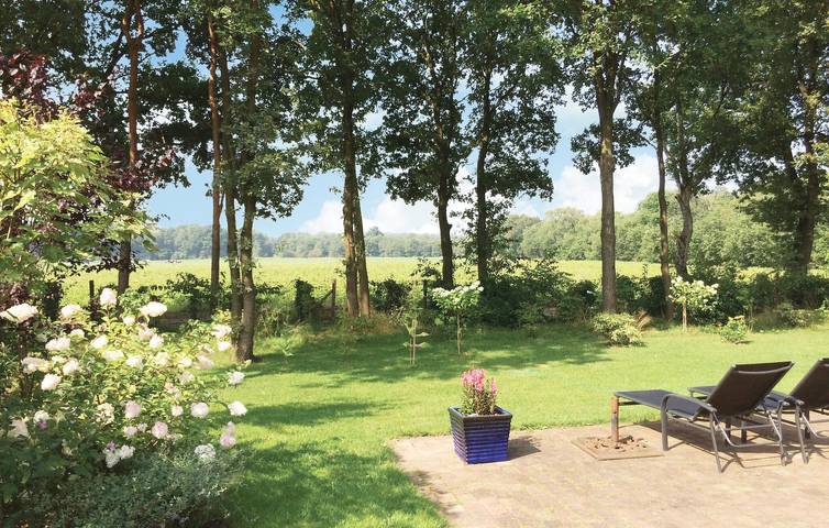 Ferienhaus für 5 Personen, mit Terrasse und Garten in Hoge Hexel - 4