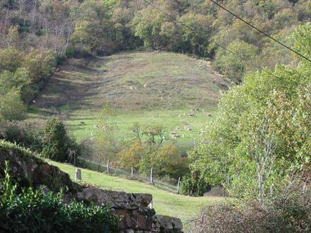 Location de vacances pour 6 personnes, avec jardin et terrasse à Saint-Izaire - 2