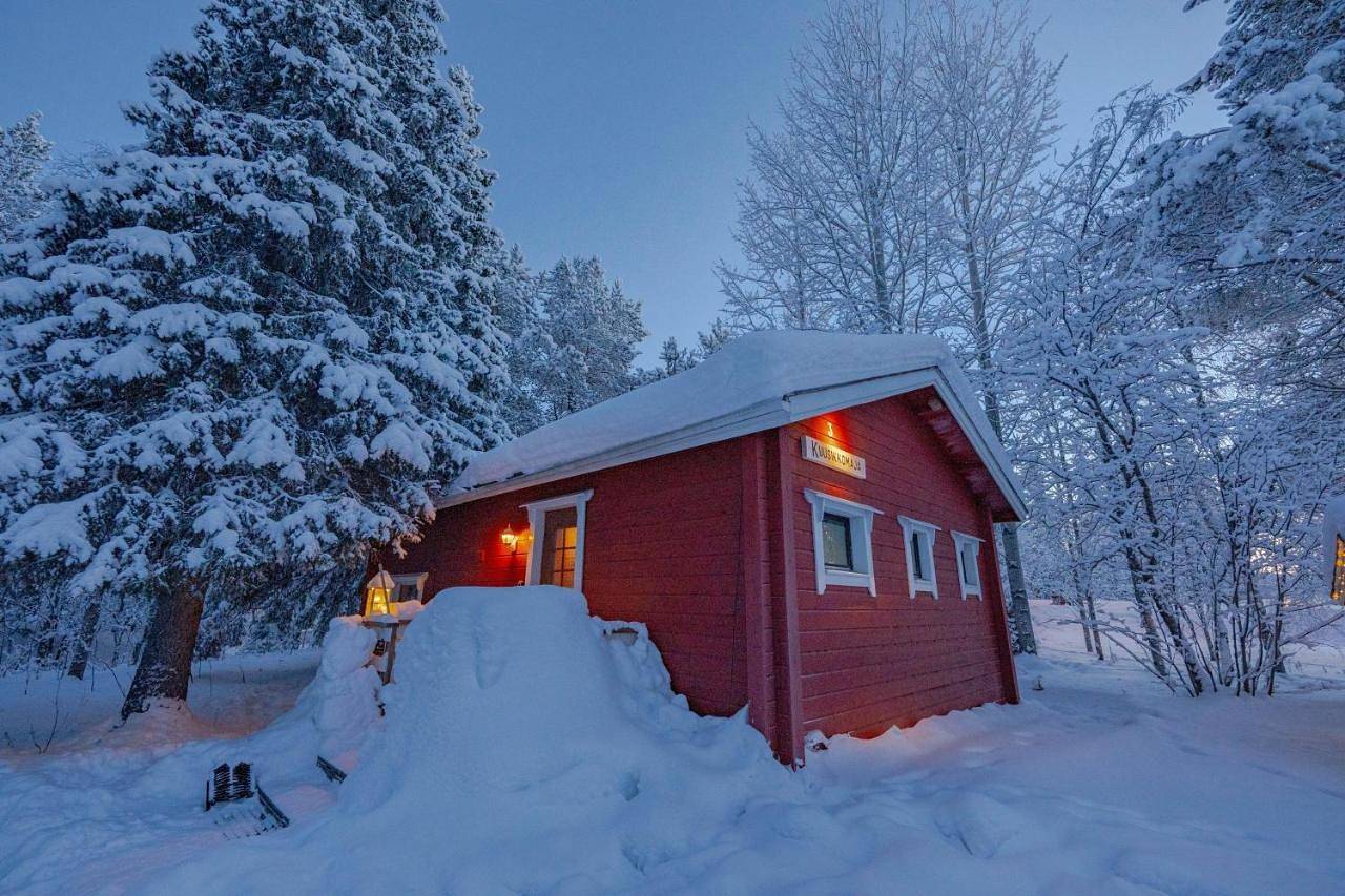 Ylläksen Yöpuu in Kaulavaara, Laponie