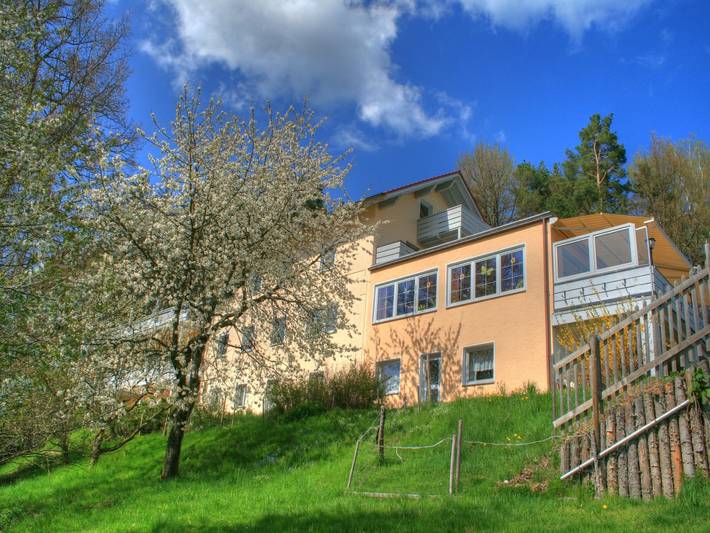 Ferienhaus für 10 Personen, mit Balkon und Sauna sowie Garten, kinderfreundlich in Regen (Ostbayern)