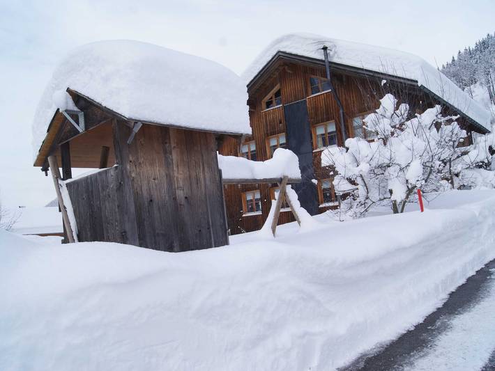 Ferienwohnung für 3 Personen, mit Terrasse und Garten, kinderfreundlich in Schoppernau - 4