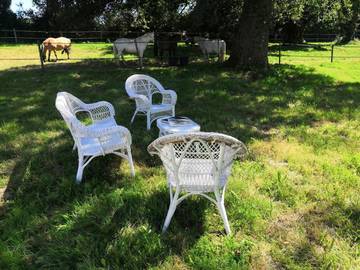 Chambre d’hôte pour 2 personnes, avec vue et jardin, animaux acceptés à Orsennes