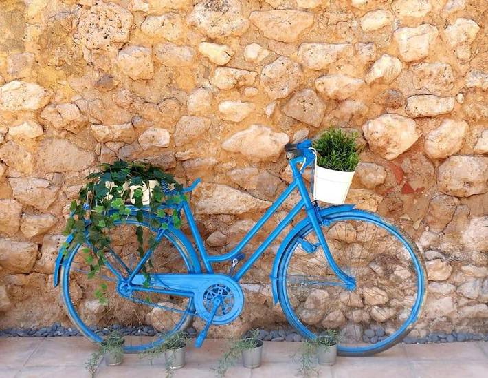 Casa rural para 4 personas, con vistas y terraza, Se admiten mascotas en La Manchuela - 4