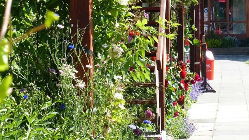 Ferienwohnung für 5 Personen, mit Garten in Pommerby - 4