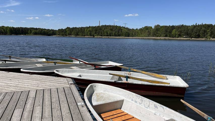 Hütte für 6 Personen, mit Terrasse und Pool in der Lausitz - 3