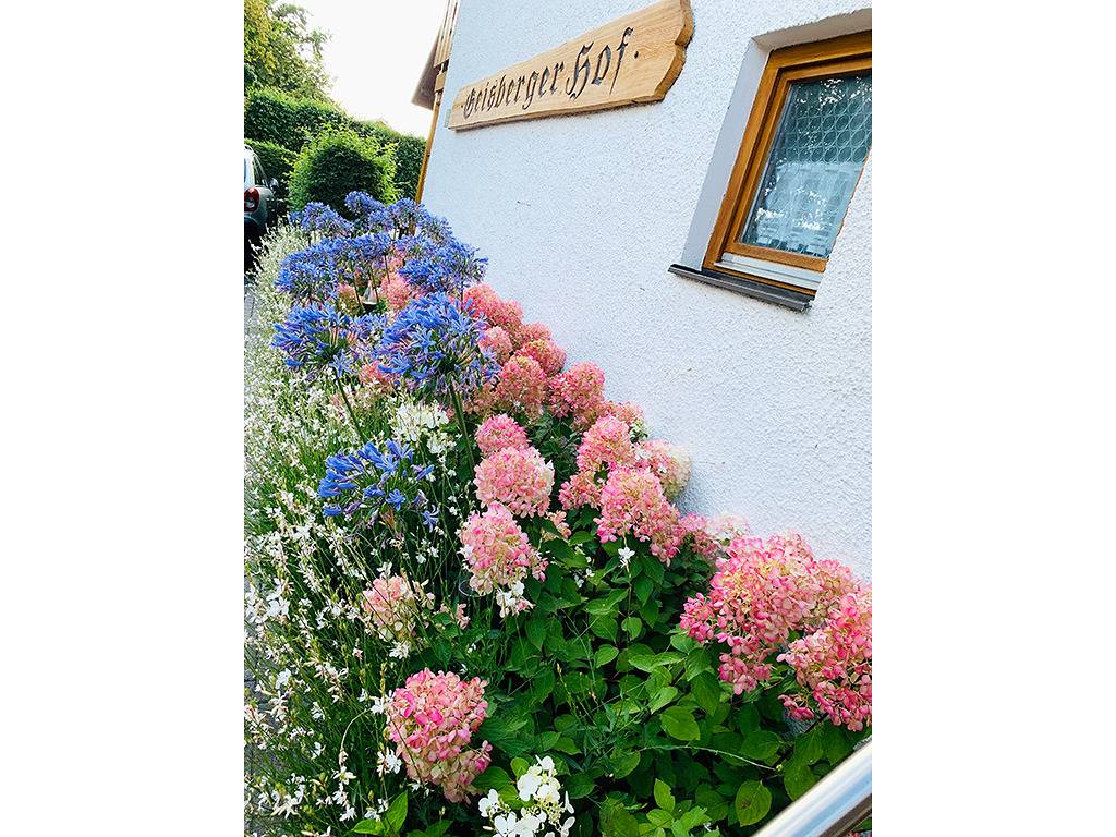 Ganze Wohnung, Geisbergerhof - Maisonette Ferienwohnung in Bad Birnbach, Bayerische Golf und Thermenland