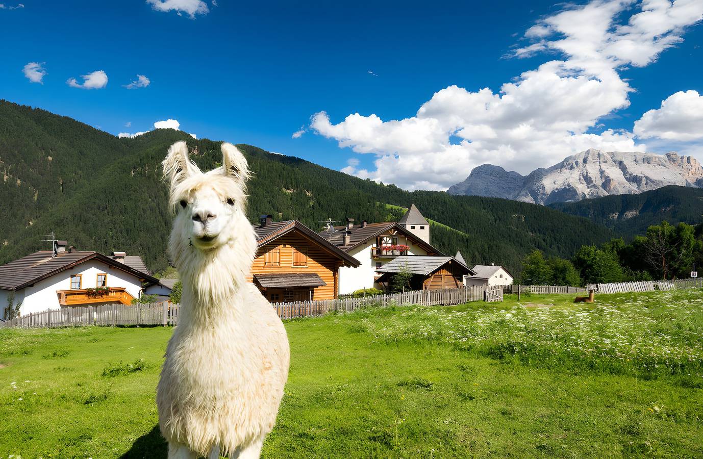 Ganze Wohnung, Apartment 'Ciastel' mit Bergblick, Gemeinschaftspool und Wlan in St. Martin in Thurn, Dolomiti Superski
