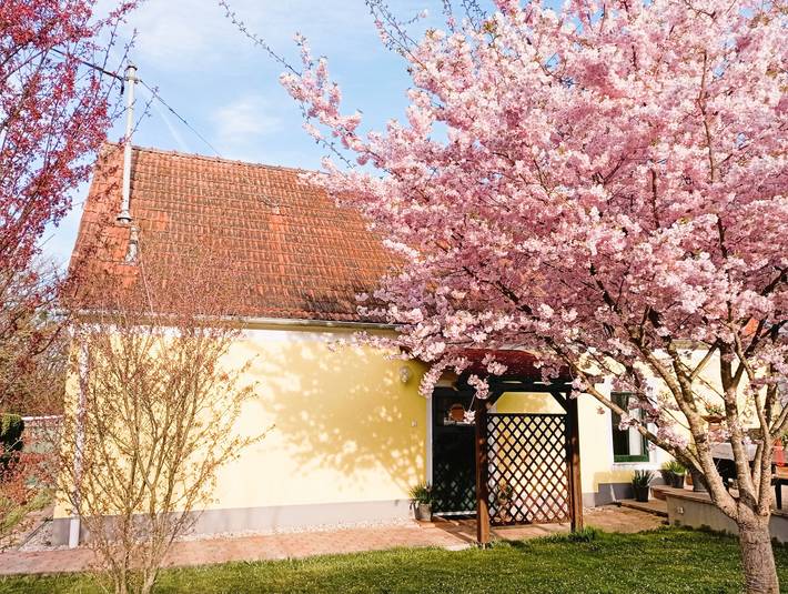 Vakantiehuis voor 4 personen, met tuin in Burgenland