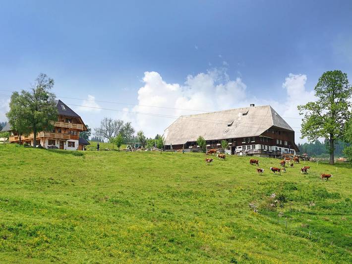 Ferienwohnung für 3 Personen, mit Sauna und Garten - 1
