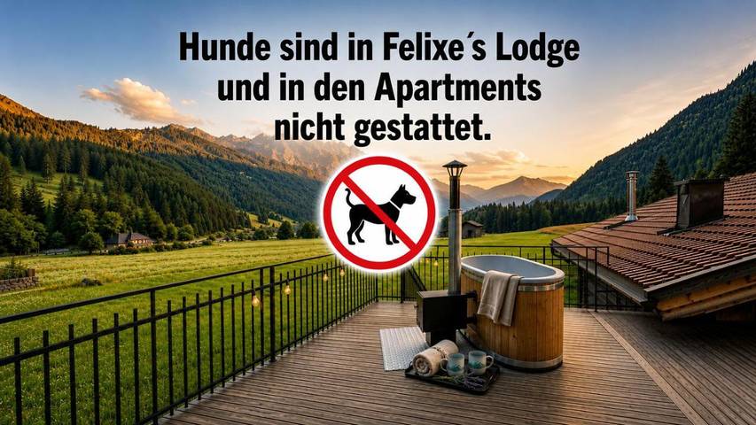 Ferienwohnung für 4 Personen, mit Ausblick am Haldensee - 4
