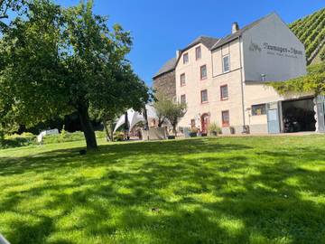 Ferienhaus für 2 Personen, mit Ausblick und Terrasse sowie Garten, mit Haustier in Neumagen-Dhron