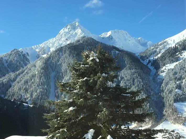 Ferienhaus für 4 Personen, mit Garten und Balkon im Montafon - 2
