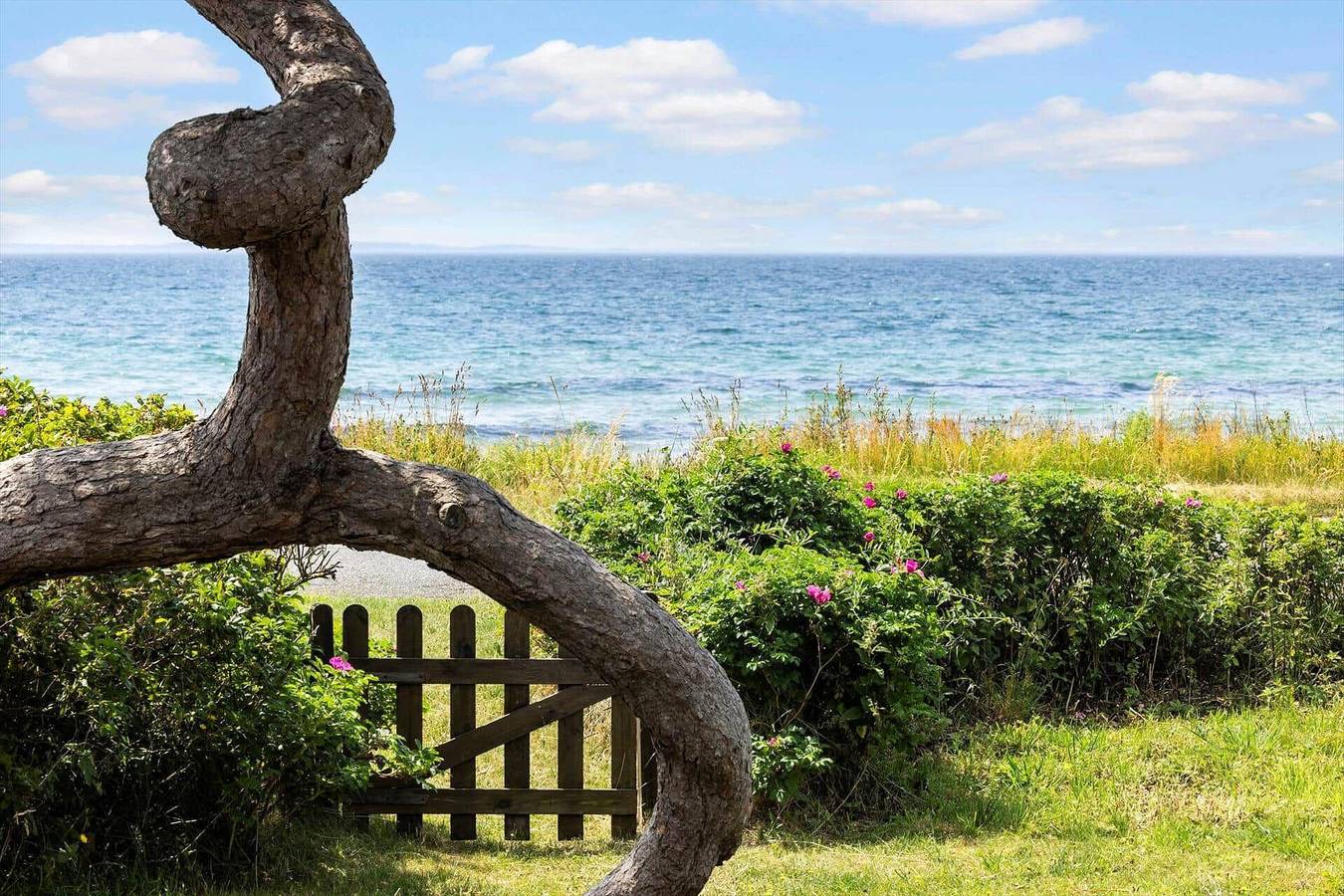 Feriehus for 6 personer med terrasse in Sejerø