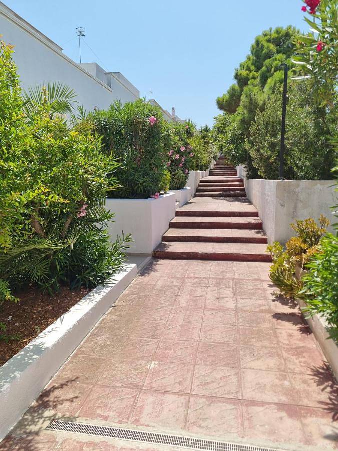 Maison d’hôte pour 2 personnes, avec vue et terrasse, animaux acceptés à Monopoli - 2