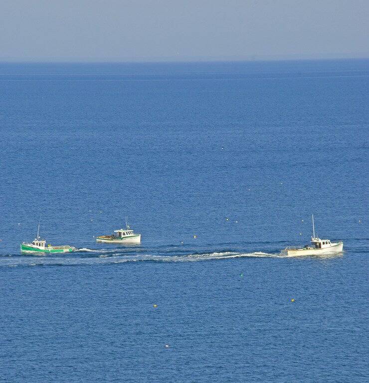 Cottage for 5 People in Capre Breton Island, Nova Scotia