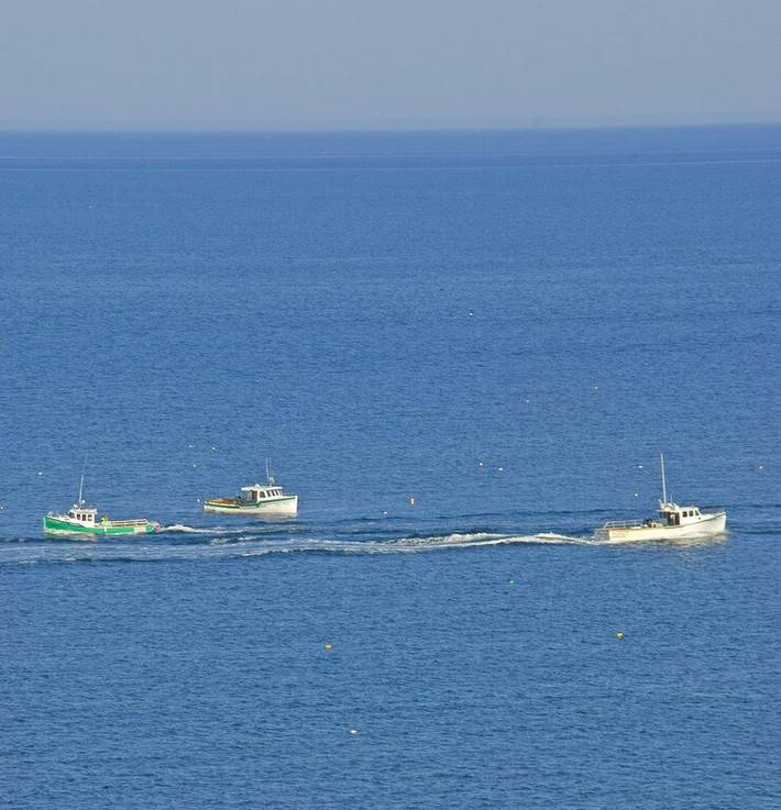 Cottage for 5 people, with balcony and yard in Nova Scotia