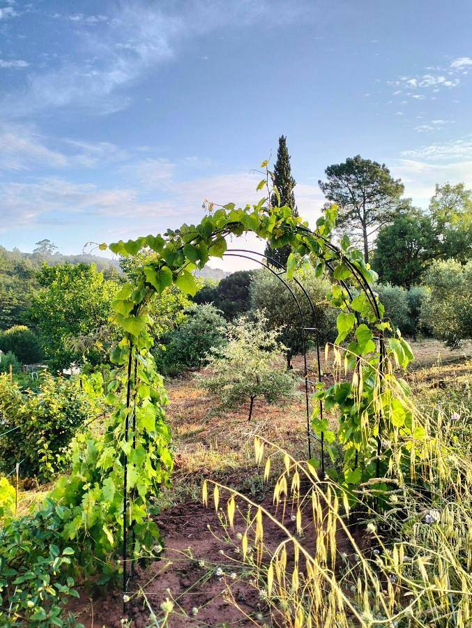 Chalet para 4 personas, con piscina además de jardín y vistas en Setubal - 3