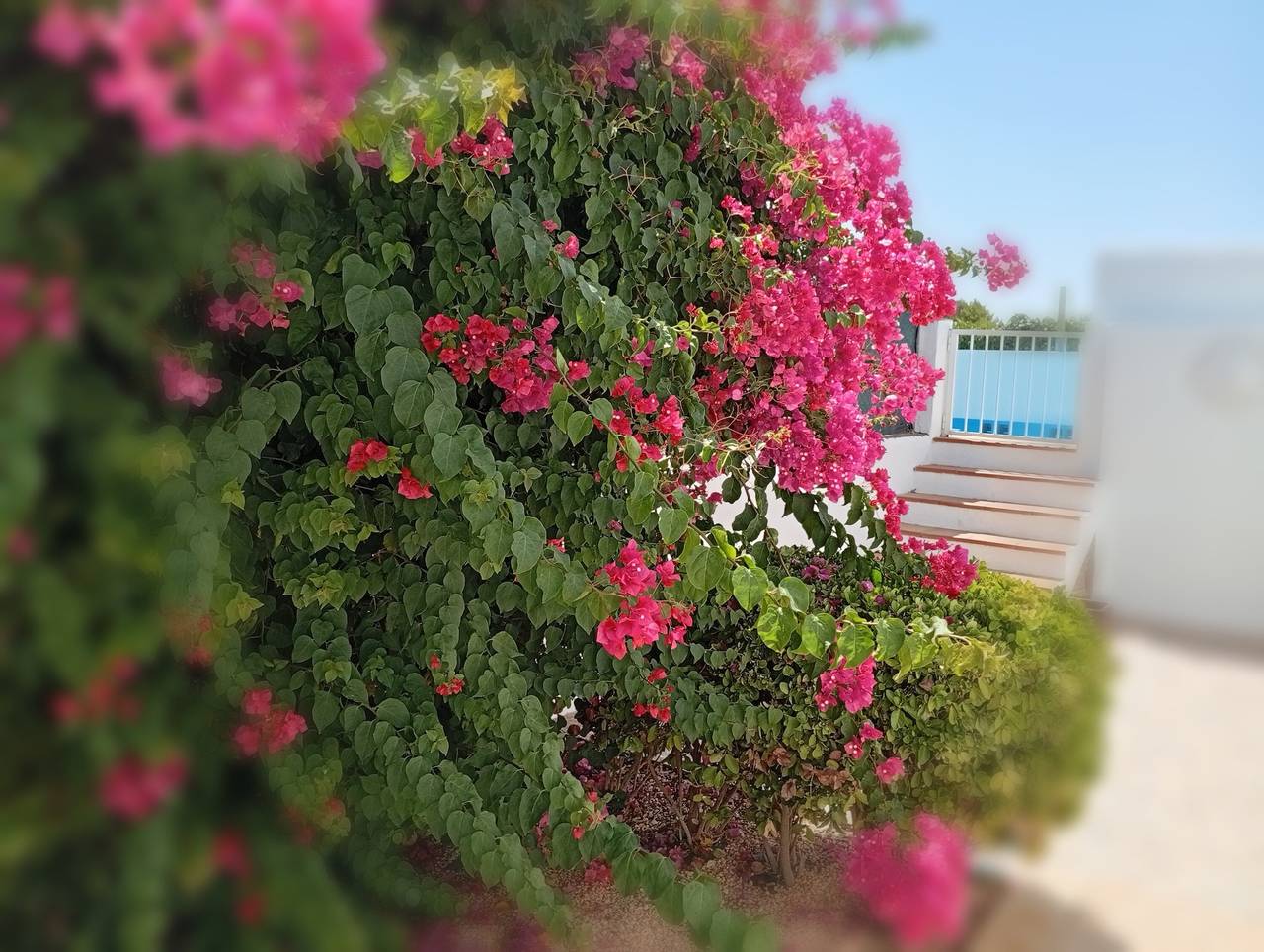 Vakantiehuis 'Susana' met privézwembad, privéterras en Wi-Fi in Es Canar, Santa Eulària des Riu